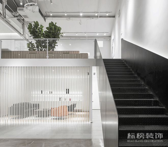 办公室植物摆放植物有哪些，怎么摆放比较好？